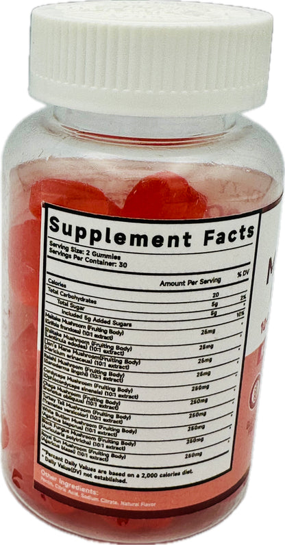 MINDEZY Mushroom Gummies 10-Plex with Lion’s Mane, Raspberry Flavor | 60 Vegan Gummies