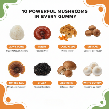 MINDEZY Mushroom Gummies 10-Plex with Lion’s Mane, Peach & Mango Flavor | 60 Vegan Gummies | Non-Psychoactive
