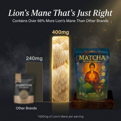 MINDEZY Organic Matcha with Mushrooms - Focused Energy for Mind & Body (30 Servings) | Non-Psychoactive