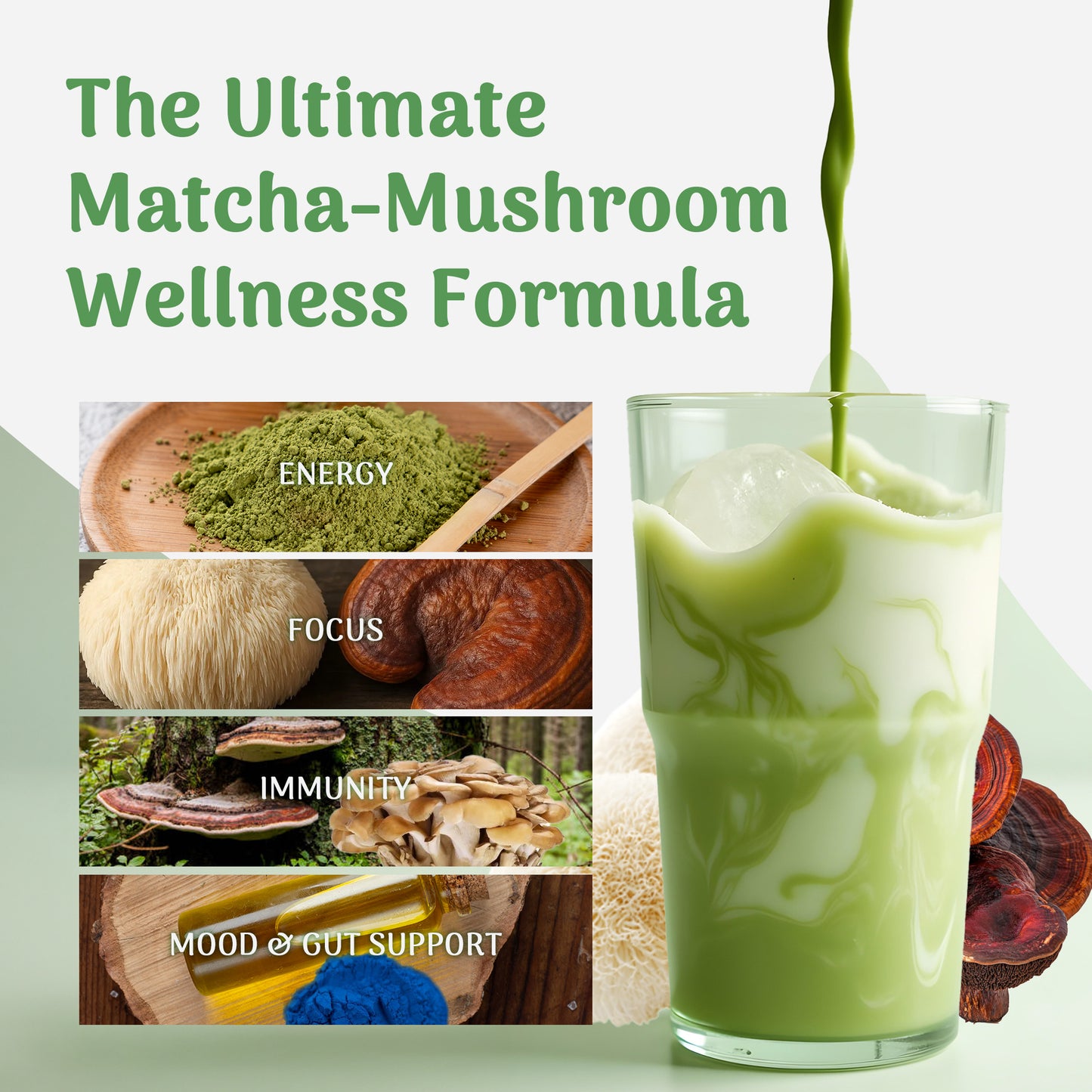 MINDEZY Matcha with Mushrooms - Focused Energy for Mind & Body (30 Servings)