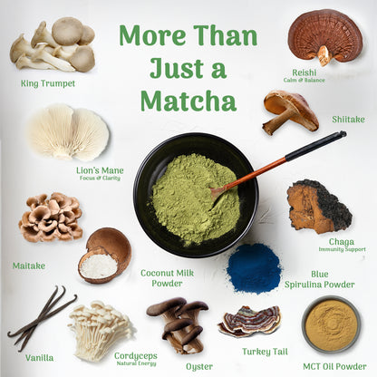 MINDEZY Matcha with Mushrooms - Focused Energy for Mind & Body (30 Servings)
