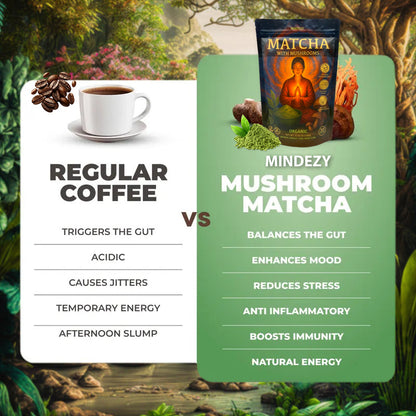 MINDEZY Matcha with Mushrooms - Focused Energy for Mind & Body (30 Servings)